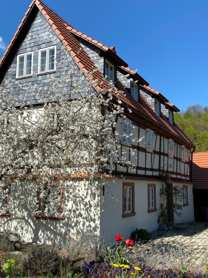 Dom Tkacza Apartamento Pieszyce Exterior foto
